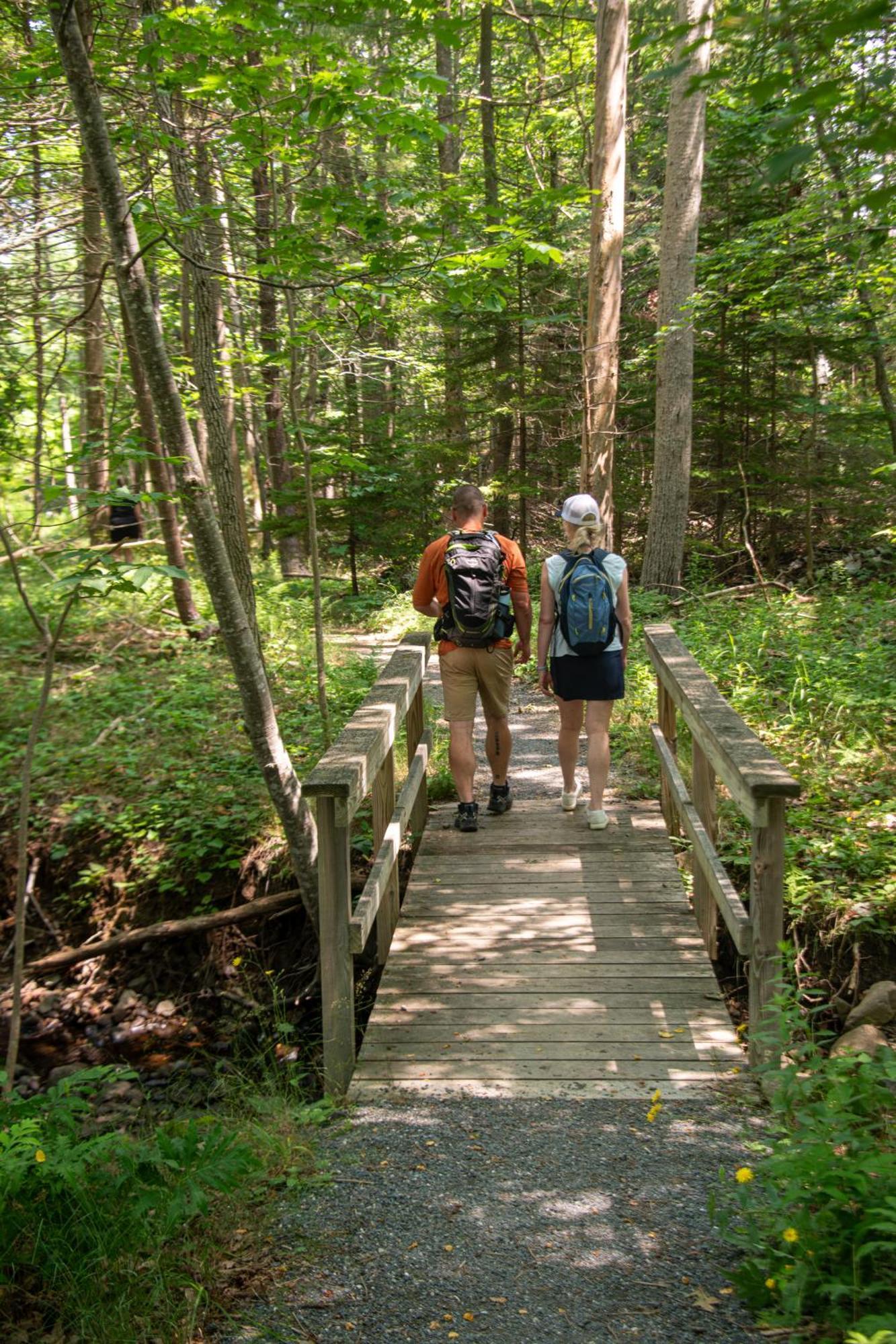 Acadia Inn Bar Harbor Ngoại thất bức ảnh
